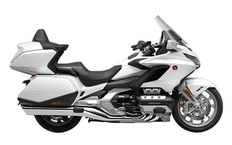 Gold Wing-2